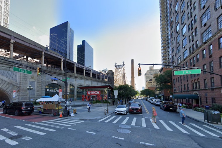 Manhattan Morning Traffic Halted by "Astoria" the Turkey's Rush Hour Romp