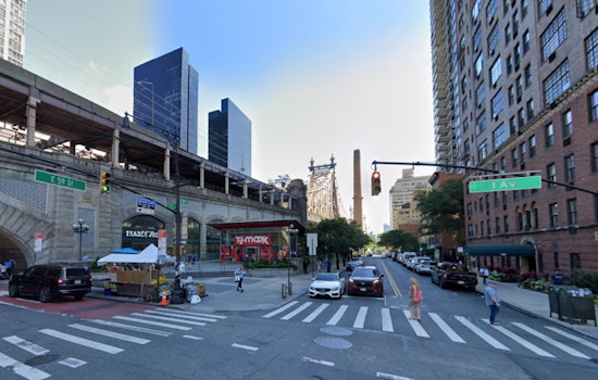 Manhattan Morning Traffic Halted by "Astoria" the Turkey's Rush Hour Romp