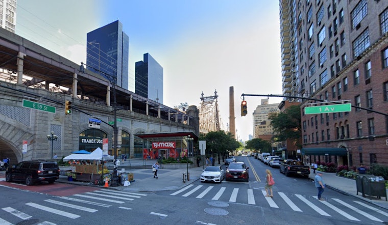 Manhattan Morning Traffic Halted by "Astoria" the Turkey's Rush Hour Romp