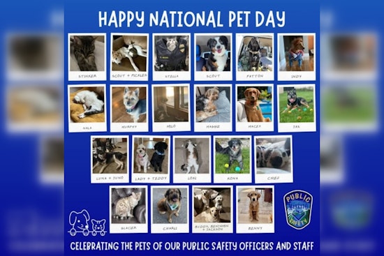 Mankato Police and Fire Department Celebrate National Pet Day with Heartwarming Post and Community Invitation