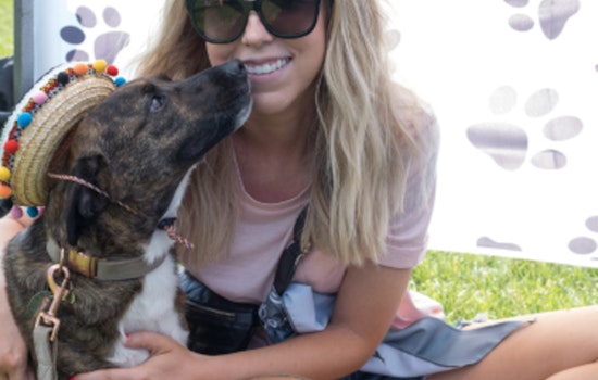 Maple Grove Invites Residents and Their Furry Friends to "Tails & Ales" – A Day of Family Fun and Philanthropy at Central Park