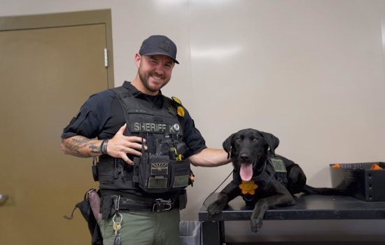 Maricopa County Jail Implements Body Scanners After K9 Max's Opioid Overdose Scare