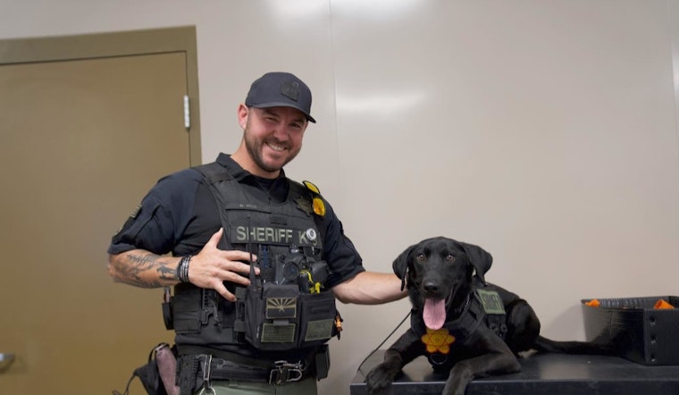 Maricopa County Jail Implements Body Scanners After K9 Max's Opioid Overdose Scare