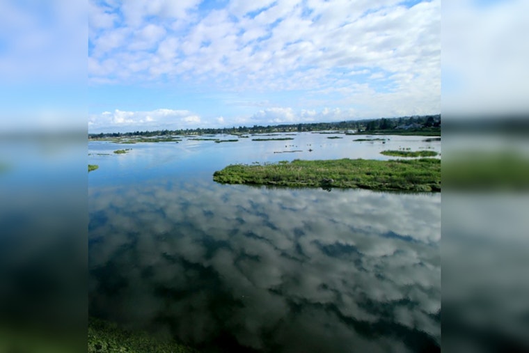 Marysville Seeks Specialists for Critical Ecosystem Management Projects, Deadline May 24, 2025