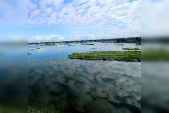 Marysville Seeks Specialists for Critical Ecosystem Management Projects, Deadline May 24, 2025