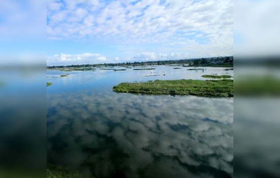 Marysville Seeks Specialists for Critical Ecosystem Management Projects, Deadline May 24, 2025