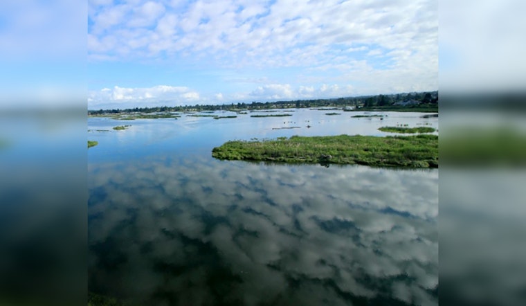 Marysville Seeks Specialists for Critical Ecosystem Management Projects, Deadline May 24, 2025