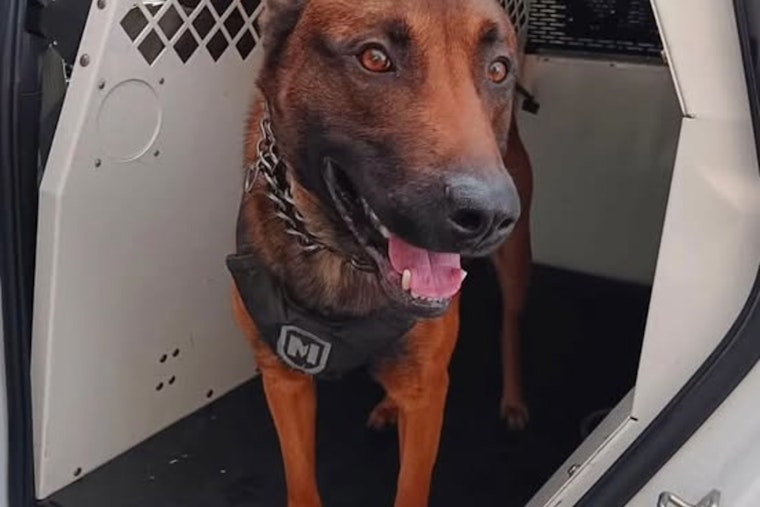MCSO K-9 Hans Heroics Lead to Arrest of Suspect in Stolen U-Haul Chase Through Portland and Gresham