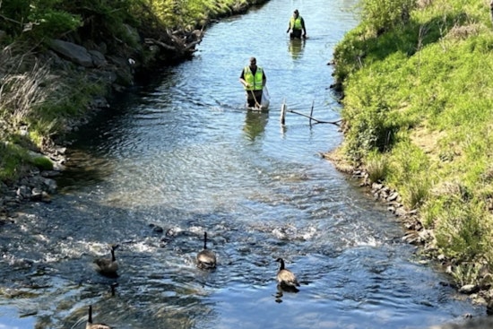 Mecklenburg County Announces Week of Earth Day Celebrations with Clean-Ups and Sustainability Workshops