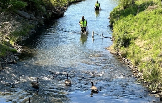 Mecklenburg County Announces Week of Earth Day Celebrations with Clean-Ups and Sustainability Workshops