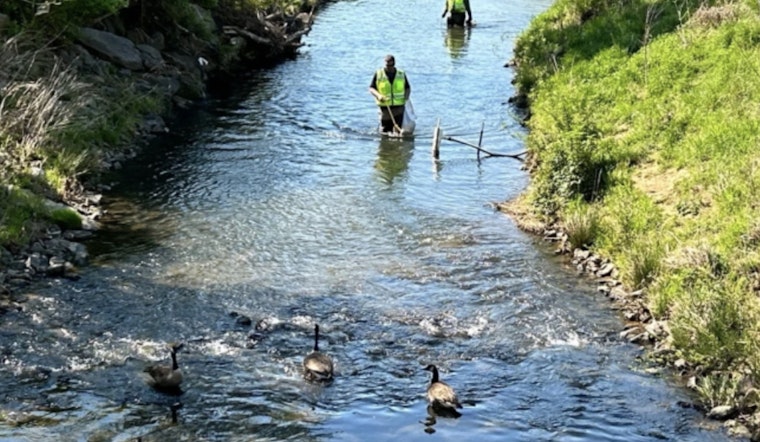 Mecklenburg County Announces Week of Earth Day Celebrations with Clean-Ups and Sustainability Workshops