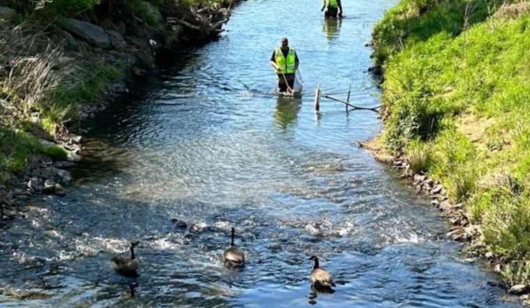 Mecklenburg County Volunteers Remove 20,000 Pounds of Trash During Creek Week Clean-Up Efforts