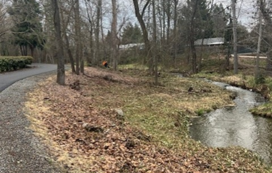 Medford Bolsters Wildfire Defenses with Expanded Fuel Mitigation in Parks and Open Spaces