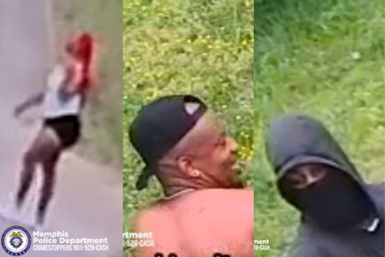 Memphis Police Investigate Fatal Shooting on Madewell Drive, Seek Public's Help to Identify Suspects