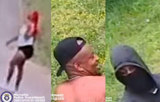Memphis Police Investigate Fatal Shooting on Madewell Drive, Seek Public's Help to Identify Suspects