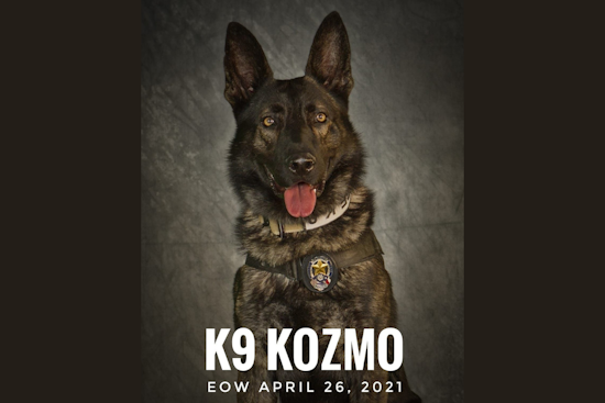 Mesquite Police Department Marks Solemn 4th Anniversary of K9 Officer Kozmo's Line-of-Duty Death
