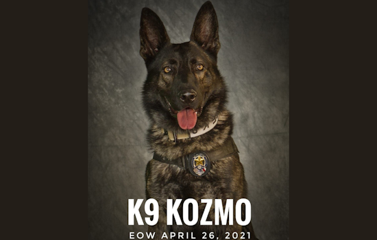 Mesquite Police Department Marks Solemn 4th Anniversary of K9 Officer Kozmo's Line-of-Duty Death