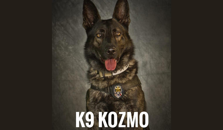 Mesquite Police Department Marks Solemn 4th Anniversary of K9 Officer Kozmo's Line-of-Duty Death