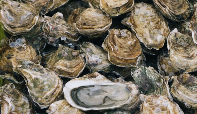 Metairie Man Charged with Multiple Commercial Fishing Violations in Plaquemines Parish