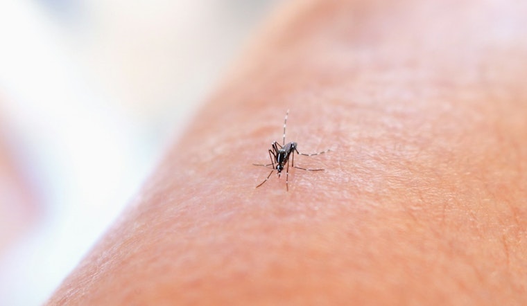 Metropolitan Mosquito Control District Takes to the Skies with Drones to Combat Pesky Swarms in Seven-County Metro Area