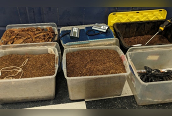 Metropolitan Police Seize Over 200 Pounds of Synthetic Marijuana and Firearms in Washington D.C., Suspect Arrested