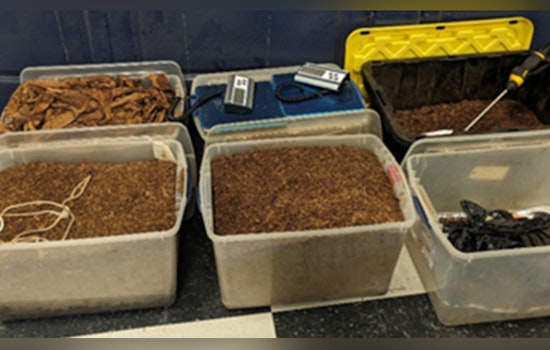 Metropolitan Police Seize Over 200 Pounds of Synthetic Marijuana and Firearms in Washington D.C., Suspect Arrested