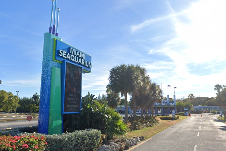 Miami Seaquarium's Management Company Files for Chapter 11 Amidst Animal Welfare Concerns