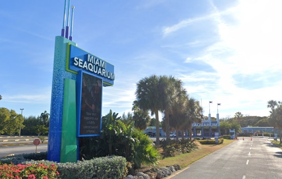 Miami Seaquarium's Management Company Files for Chapter 11 Amidst Animal Welfare Concerns