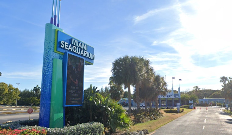 Miami Seaquarium's Management Company Files for Chapter 11 Amidst Animal Welfare Concerns