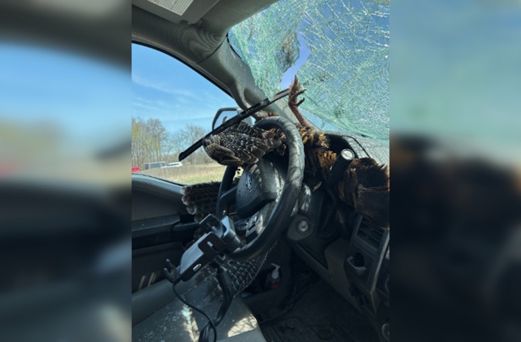 Michigan Driver Escapes Unhurt as Turkey Crashes Through Windshield on I-96 Near Fowlerville