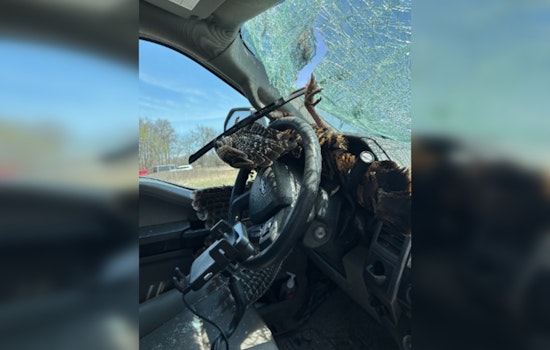 Michigan Driver Escapes Unhurt as Turkey Crashes Through Windshield on I-96 Near Fowlerville