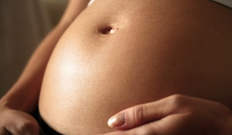 Michigan Lifts Ban on Paid Surrogacy, Enacts Family Protection Act to Modernize Family-Building Laws