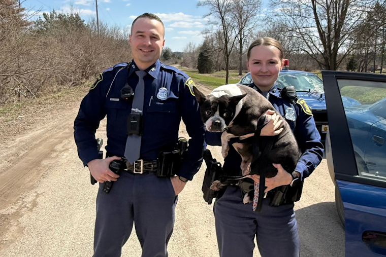 Michigan State Police Swiftly Rescue Stray Dog "Potato" from I-75 in Holly Township