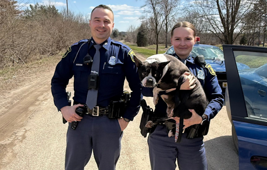 Michigan State Police Swiftly Rescue Stray Dog "Potato" from I-75 in Holly Township