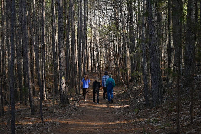 Milton City Council to Discuss Birmingham Park Conservation and Key Zoning Amendments at Upcoming Work Session