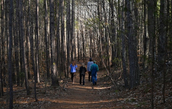 Milton City Council to Discuss Birmingham Park Conservation and Key Zoning Amendments at Upcoming Work Session