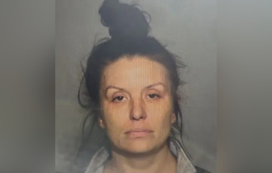 Milwaukee Police Seek Community Help to Find Critically Missing Woman Last Seen on MCTS Bus