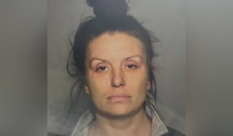 Milwaukee Police Seek Community Help to Find Critically Missing Woman Last Seen on MCTS Bus