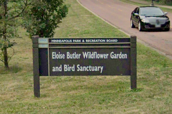 Minneapolis' Eloise Butler Wildflower Garden Set to Open Its 118th Season on Tuesday