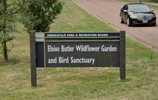 Minneapolis' Eloise Butler Wildflower Garden Set to Open Its 118th Season on Tuesday