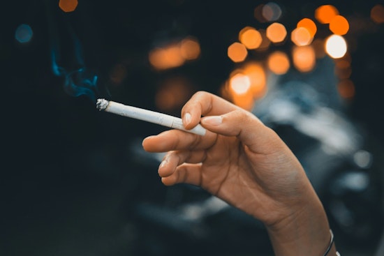 Minneapolis Park Board Seeks Public Input on Smoking and THC Policies at April 16 Hearing