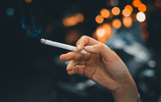 Minneapolis Park Board Seeks Public Input on Smoking and THC Policies at April 16 Hearing