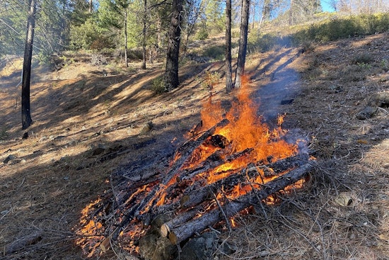 Minneapolis Parks to Conduct Prescribed Burns to Enhance Ecosystem Health This Spring and Fall