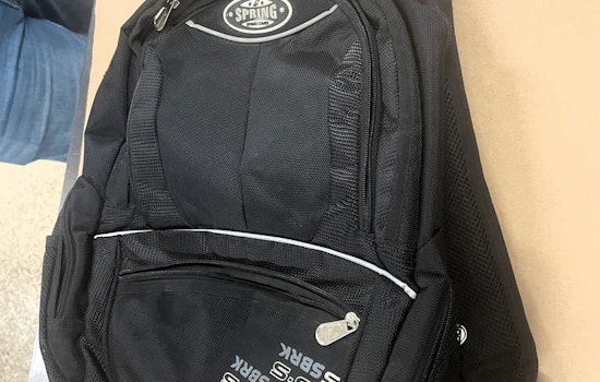 Minneapolis Police Nab 'Porch Pirate' with Stolen Goods in 3rd Precinct