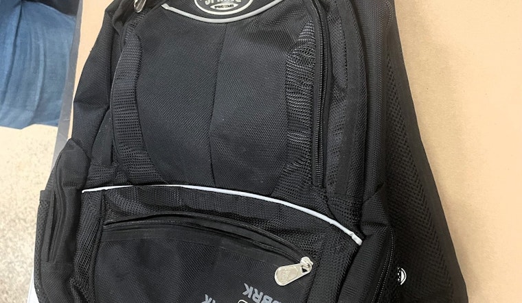 Minneapolis Police Nab 'Porch Pirate' with Stolen Goods in 3rd Precinct