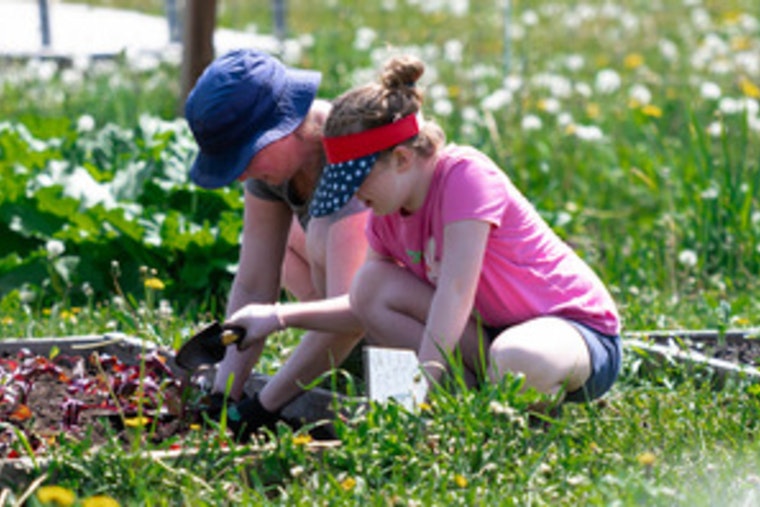 Minneapolis Springs into Action with a Bounty of Free Park Events for All Ages
