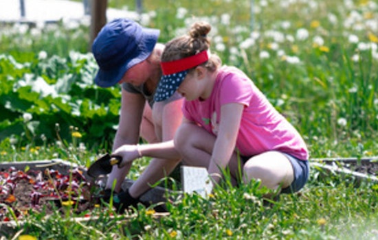 Minneapolis Springs into Action with a Bounty of Free Park Events for All Ages