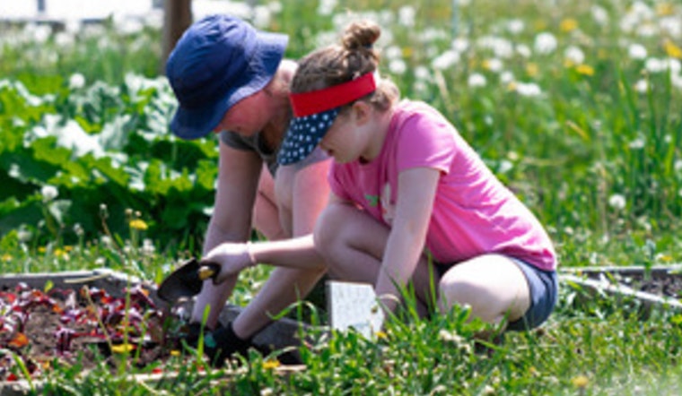 Minneapolis Springs into Action with a Bounty of Free Park Events for All Ages