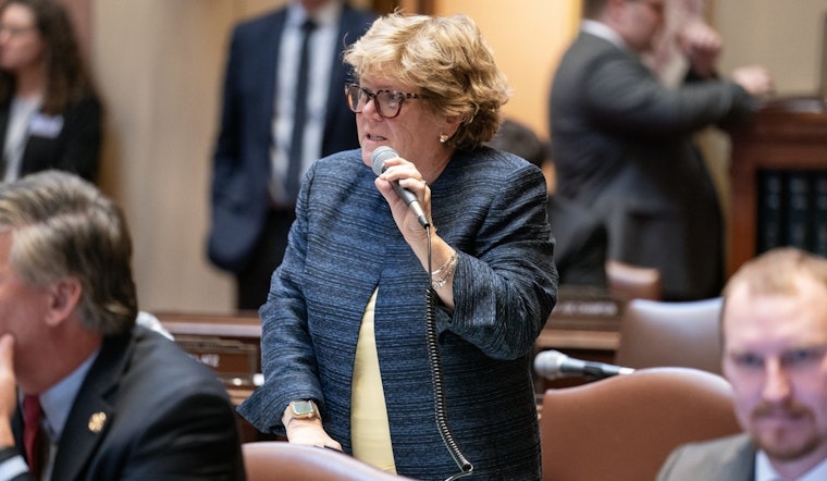 Minnesota Senator Ann Johnson Stewart Votes to Condemn Trump's Pardon of January 6 Insurrectionists