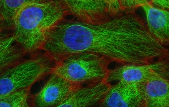 MIT Engineers Develop Precision-Controlled Gene Therapy Circuit, Advancing Treatments for Genetic Disorders